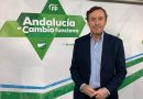 El PP denuncia que Sánchez convierte la “cuesta de enero” en un Everest para las familias almerienses