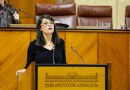 Ángeles Martínez defiende en el Parlamento que invertir en investigación es apostar por el futuro y la prosperidad de Andalucía