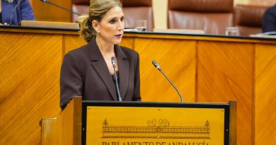 Julia Ibáñez exige al Gobierno de España una planificación energética justa para desbloquear el potencial industrial de Almería