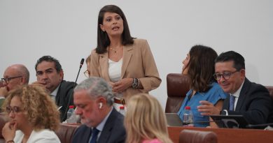 El Parlamento aprueba por mayoría una iniciativa del PP para exigir al Gobierno de España que modifique el Real Decreto que pone en peligro los centros de datos